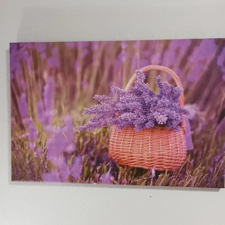 Apartamento Sunray *