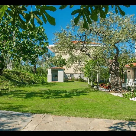 Sunray Apartament
